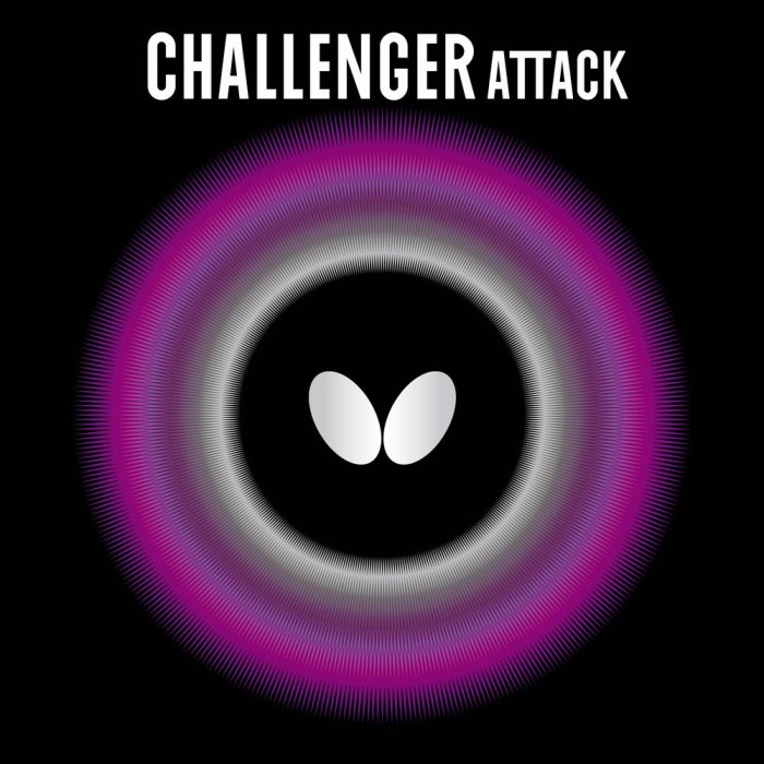Challenger Attack Challenger Attack