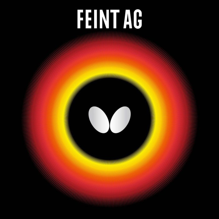 Feint AG Feint AG